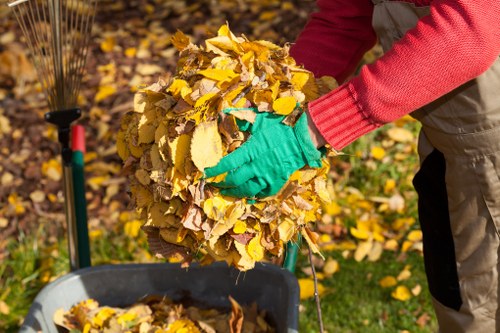 Business waste collection in Hither Green